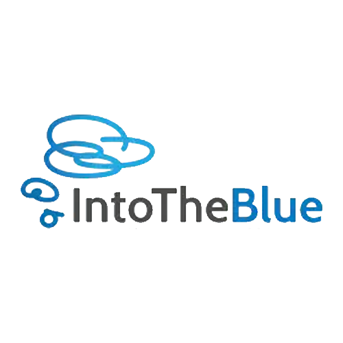 into-the-blue-promo-code